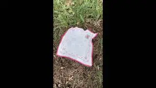 R&yacute;ma a kyselina mravenč&iacute; #r&yacute;ma #jaknato #ants #acid #cold #flu #forest #naturalremedy #lifehacks