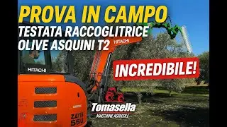 Prova in campo Testata Raccoglitrice Olive Asquini T2