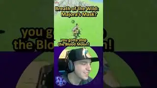 A 6 Year Zelda Prediction