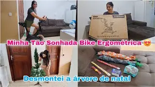 Desmontei minha árvore de natal | Mais uma conquista | Comprei minha bike Spinning 😍