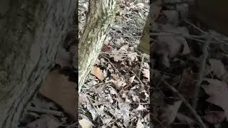 Мой новый почтовый ящик&hellip;