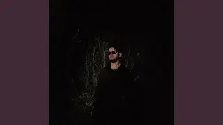 Dans le noir