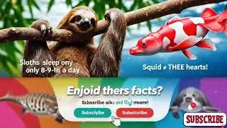 Animal Myths: DEBUNKED ❌