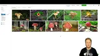 App In The Cloud - How to use Custom Vision in Azure Cognitive Services
