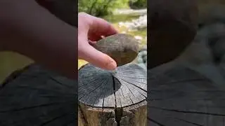 This rock looked normal&hellip; until I cracked it
