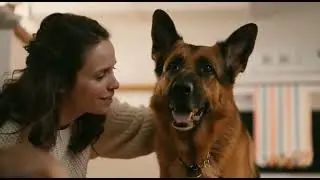 Dog caring moments with kid #dogmoments #kidsvideo 