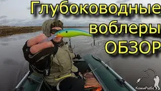 Глубоководные воблеры. Краткий обзор: Salmo, Rapala, Strike Pro
