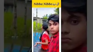 Nibba Nibbe in Water video 😂