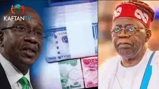 Emiefiele's Policy Impact: Naira Devaluation & its Effects on Trade & Business | The Conversation