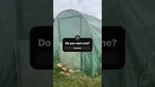 Our New Polytunnel: Garden Upgrade Begins! #love #gardening #allotment #garden #polytunnel #fun