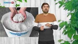 Правила черенкования