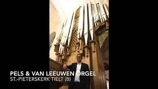 Tom Hoornaert Organ