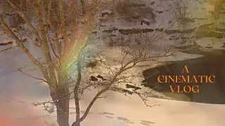 Cinematic silent vlog 🎥 | Experimenting with CapCut |