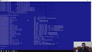 EagleFly 134 Thinking on other instruction encoding representation