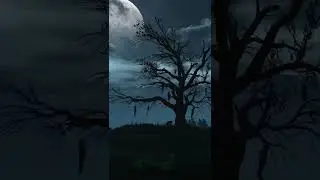 The Beauty of Games