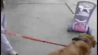 Go ! Bwaaah !