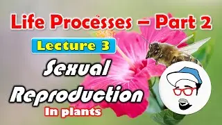 Sexual Reproduction in Plants || Life processes in Living Organisms Part 2 CLass 10 SSC CBSE