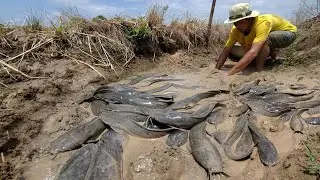 best hand fishing! a fisherman catch a lot of fish in the field near the village by best hand