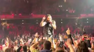 Skillet-Surviving the game