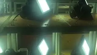 led pole lighting,China supplier,CE/UL approved,customized.