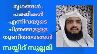 Использование тканей с изображениями животных и птиц. Сайид Суллами