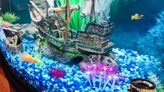 Aquarium sunken ship theme