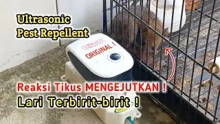Review Pest Reject Pengusir Tikus dan Serangga