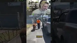 Australia is just another version of florida 😭 #xqc #florida #australia #llama