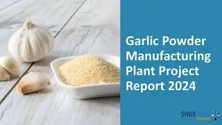 Garlic Powder Manufacturing Cost and Plant Project Report 2024