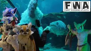 I went to an Aquarium at a Furry Con and Saw Cool Fursuits! | FWA 2026