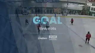 Steel Paladins vs Rink Rats - goal highlights video 11-22-25