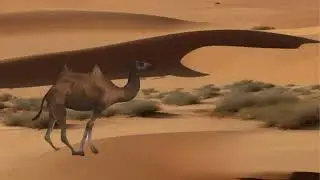 Into the Sands Camel's Daring Desert Crossing  Epic Adventure