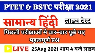 सामान्य हिंदी मॉडल पेपर 2021 | Ptet & BStc Exam 2021