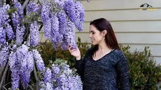 12 Plants That Repel Squirrels