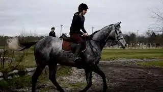 Bêtisier équestre le deuxième - Chutes, refus, taxis et gags à cheval..