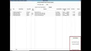 Tally Add On : Automatic Multiple Payment Vouchers Creations in Tally Prime Software.
