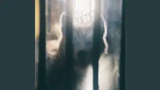 Something in The Air