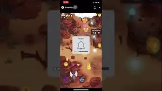 Everwing Level 50 Lily