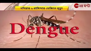 Dengue Fever: বাংলায় লাফিয়ে বাড়ছে ডেঙ্গি আক্রান্তের সংখ্যা, কী বলছেন বিশেষজ্ঞরা? | Zee 24 Ghanta