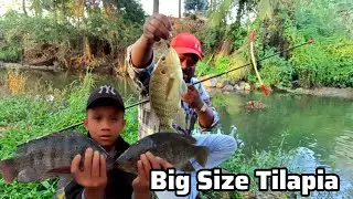 Big Tilapia Fishing | Tilapia Fishing Hook Size | Tilapia Fish Catch