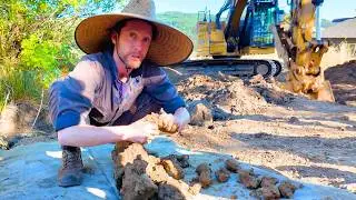 Water Retention and Syntropic Agriculture - Opening a Doorway