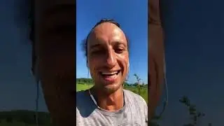 Пробежка в Завидово с Пичом #run #dogfriendly #dog #завидово #пробежка #лето #спорт