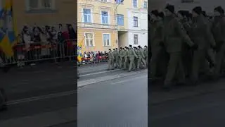 Estonian Independence Day Military Parade #shorts #estonian #independence #day #military #parade