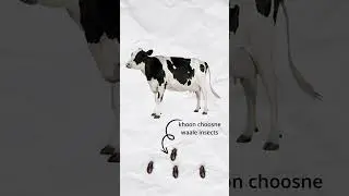 Wound Healing Spray with Antiseptic, antitick and maggoticidal Properties for Dogs, Cats, cattle 🐄