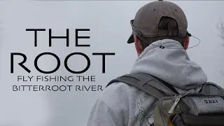 THE ROOT - Fly Fishing the Bitterroot River