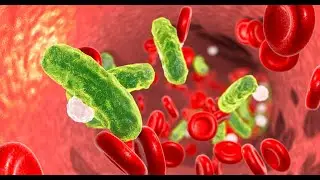 Anti Inflammatory Priming Enhances the Anti Erectile Dysfunction Efficacy of PDE5 Inhibitors