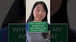 Why parrot only eats seed? #shorts