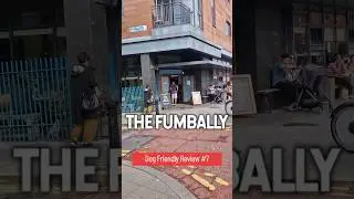Dog Friendly Review #7 #dublin #dogs #dogshorts