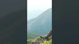 5 Fascinating Facts About The Carpathians  Wilderness in Eastern Europe