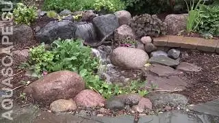 Водный сад по системе Aquascape/Aquascape water garden